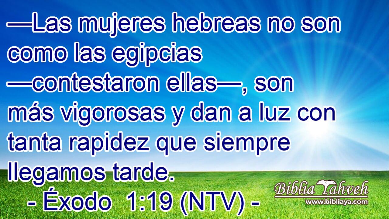 —Las mujeres hebreas no son como las egipcias —contestaron ellas—, son más vigorosas y dan a luz con tanta rapidez que siempre llegamos tarde.