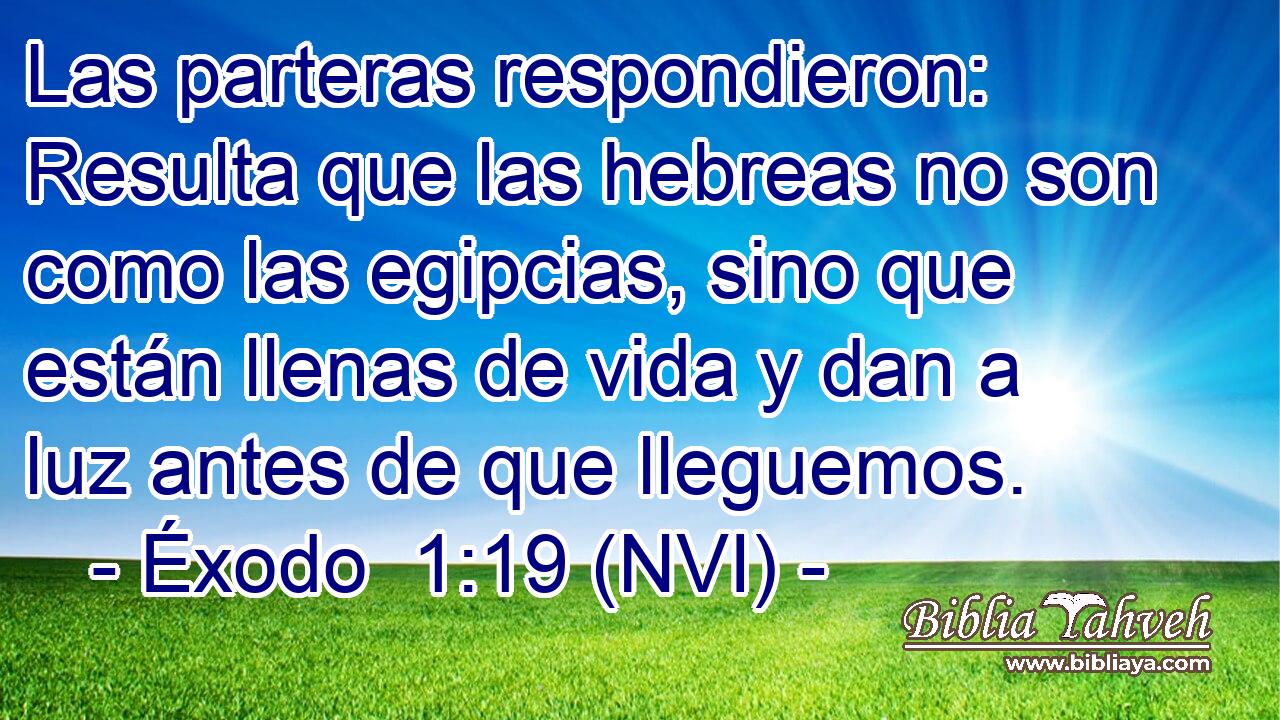  Las parteras respondieron: Resulta que las hebreas no son como las egipcias, sino que están llenas de vida y dan a luz antes de que lleguemos. 