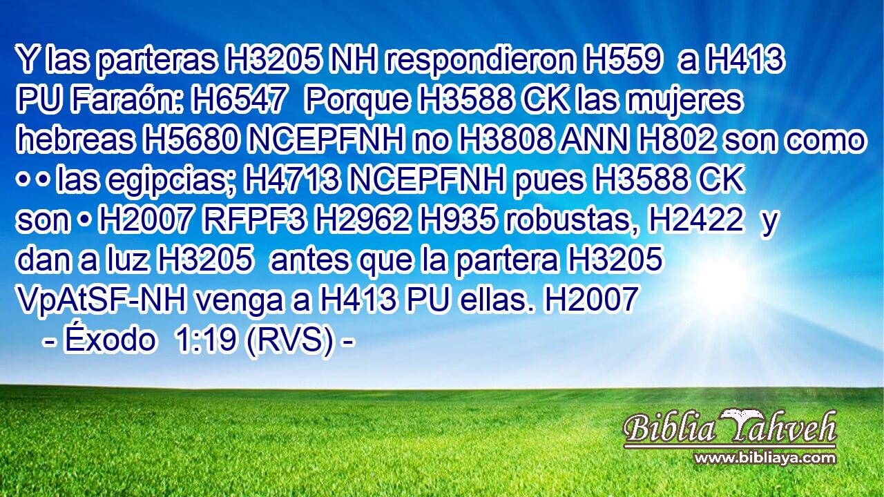 Y las parteras H3205 NH respondieron H559  a H413 PU Faraón: H6547  Porque H3588 CK las mujeres hebreas H5680 NCEPFNH no H3808 ANN H802 son como • • las egipcias; H4713 NCEPFNH pues H3588 CK son • H2007 RFPF3 H2962 H935 robustas, H2422  y dan a luz H3205  antes que la partera H3205 VpAtSF-NH venga a H413 PU ellas. H2007  