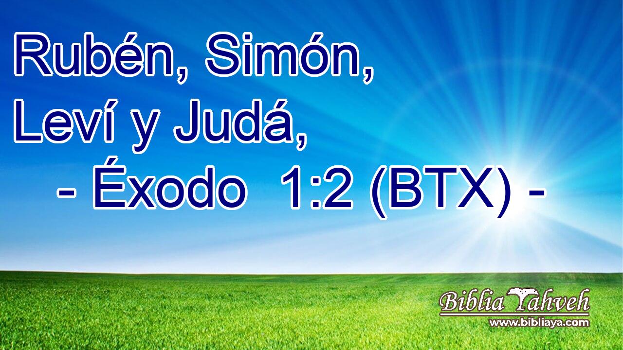 Rubén, Simón, Leví y Judá,