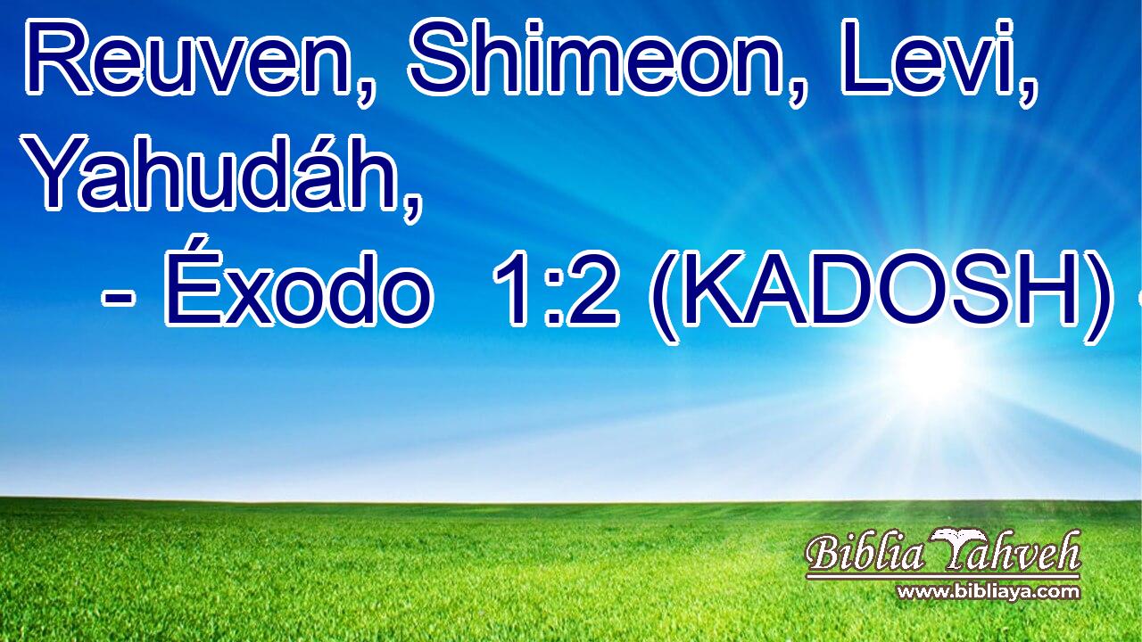  Reuven, Shimeon, Levi, Yahudáh, 
