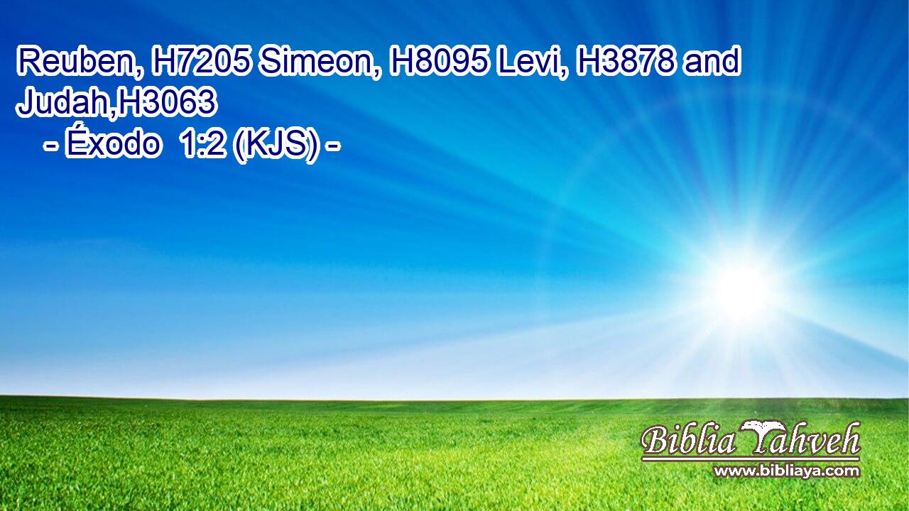 Reuben, H7205 Simeon, H8095 Levi, H3878 and Judah,H3063