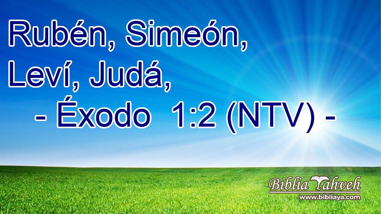 Rubén, Simeón, Leví, Judá,