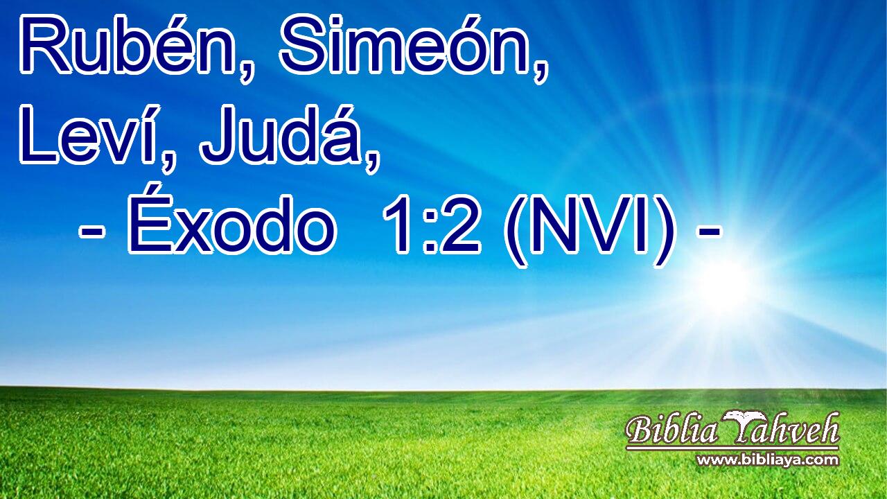  Rubén, Simeón, Leví, Judá, 
