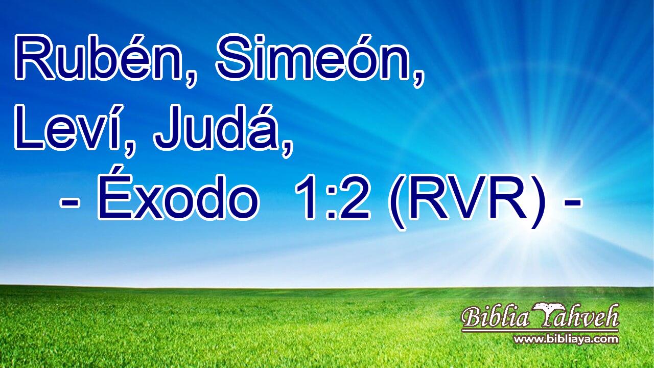 Rubén, Simeón, Leví, Judá,