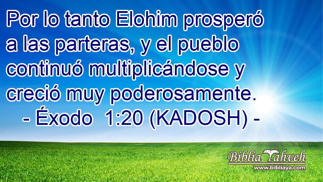  Por lo tanto Elohim prosperó a las parteras, y el pueblo continuó multiplicándose y creció muy poderosamente. 