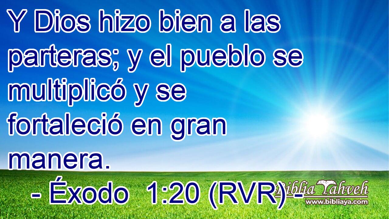 Y Dios hizo bien a las parteras; y el pueblo se multiplicó y se fortaleció en gran manera.