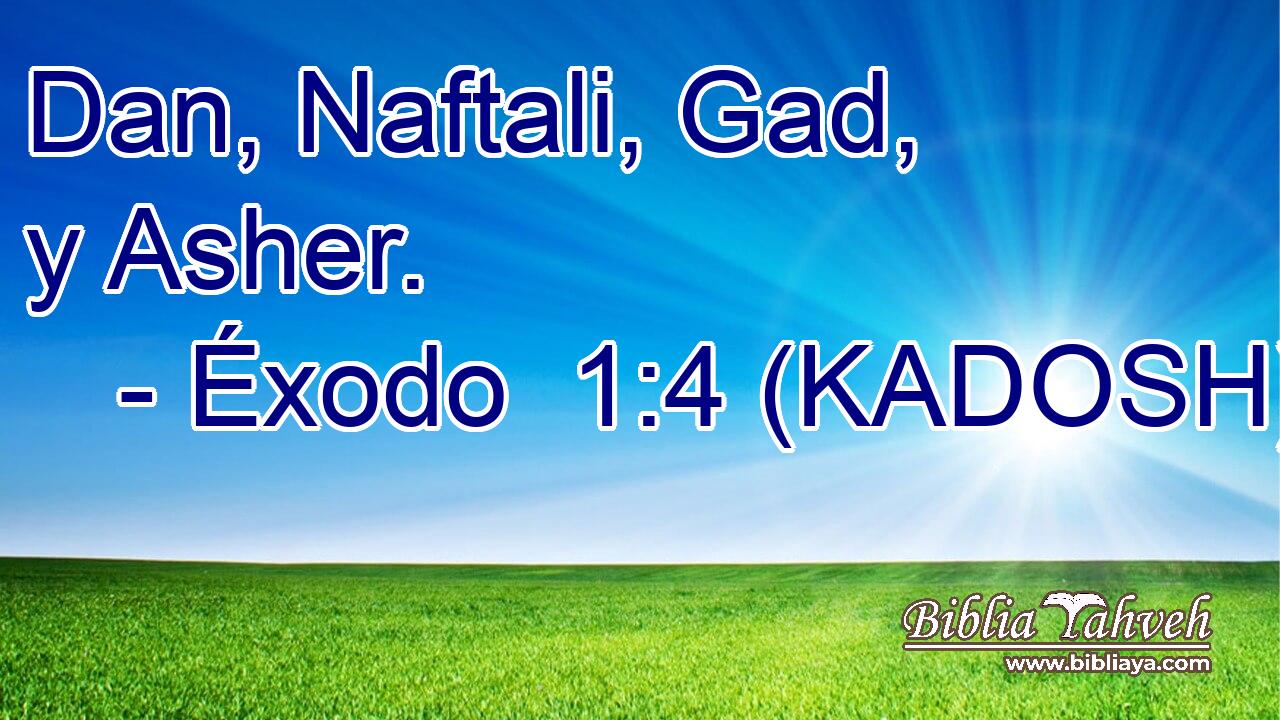  Dan, Naftali, Gad, y Asher. 