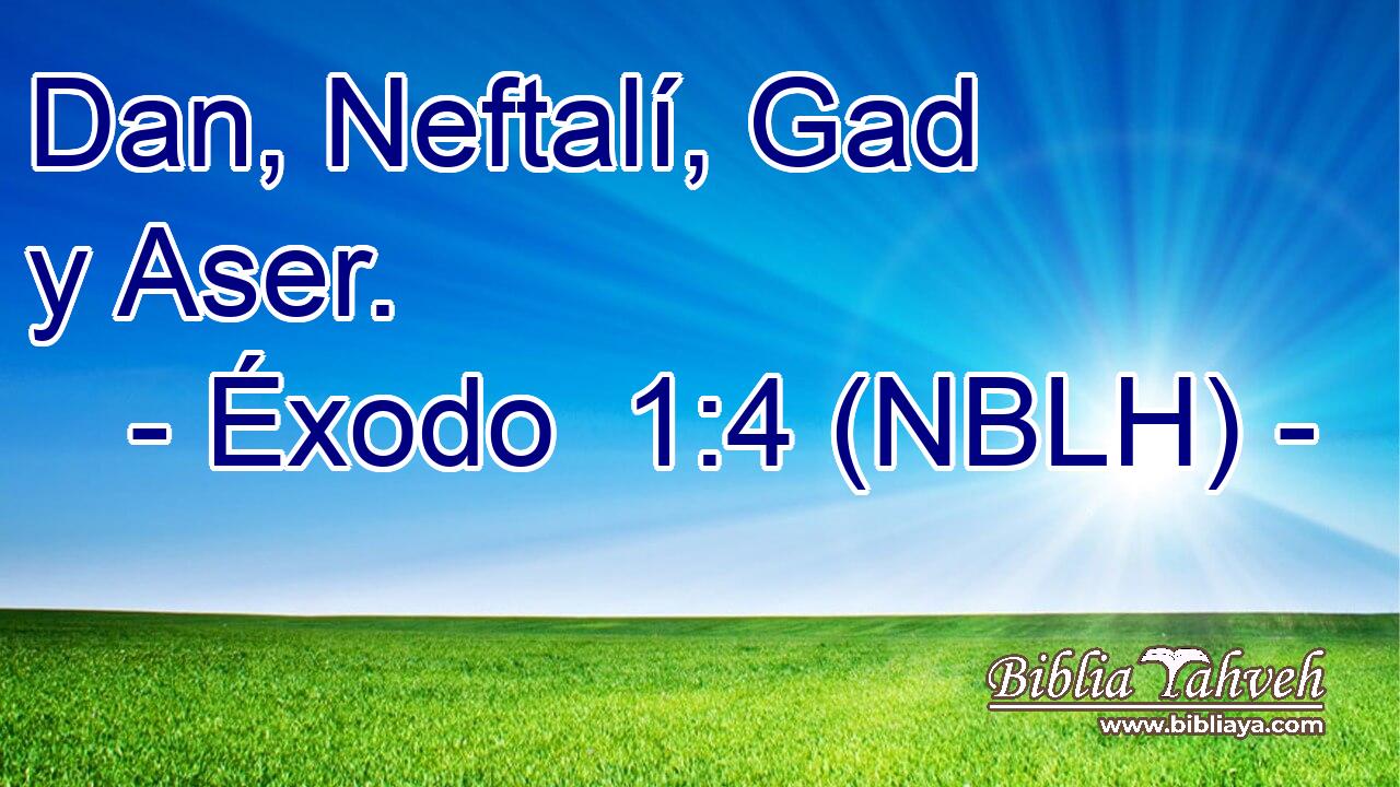  Dan, Neftalí, Gad y Aser. 