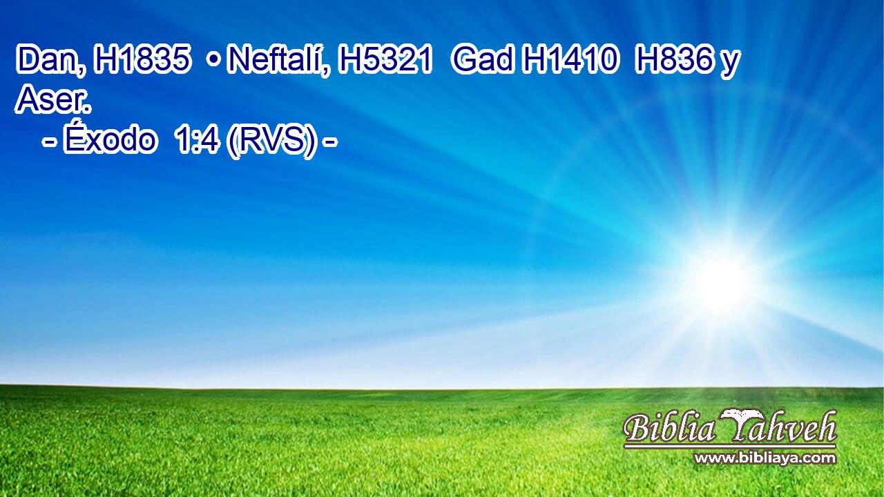 Dan, H1835  • Neftalí, H5321  Gad H1410  H836 y Aser. 