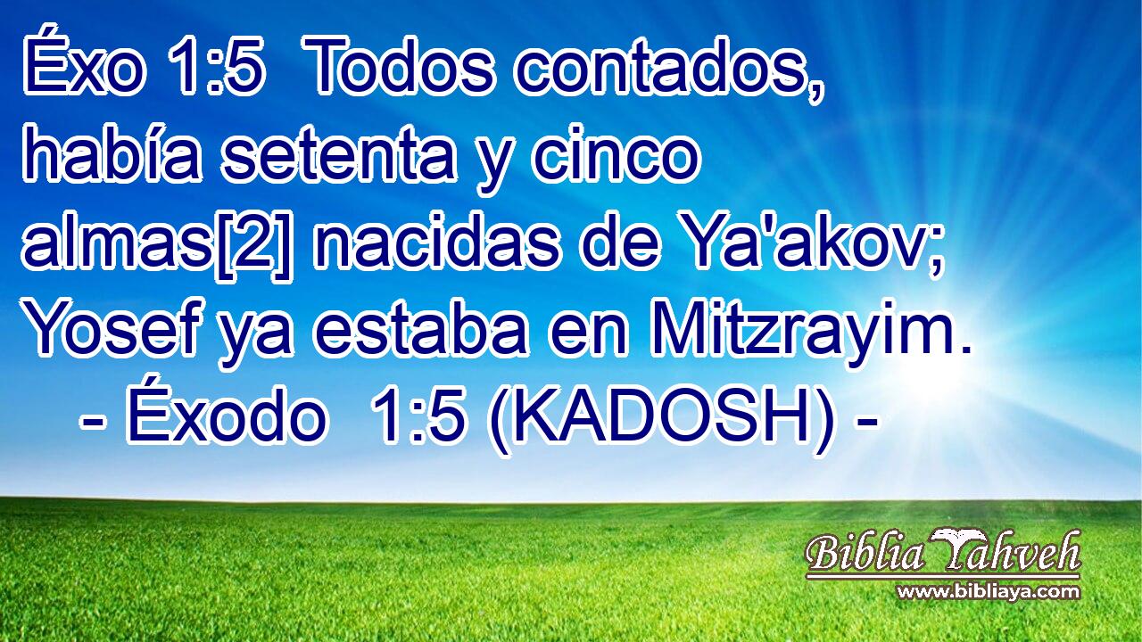  Todos contados, había setenta y cinco almas[2] nacidas de Ya'akov; Yosef ya estaba en Mitzrayim. 