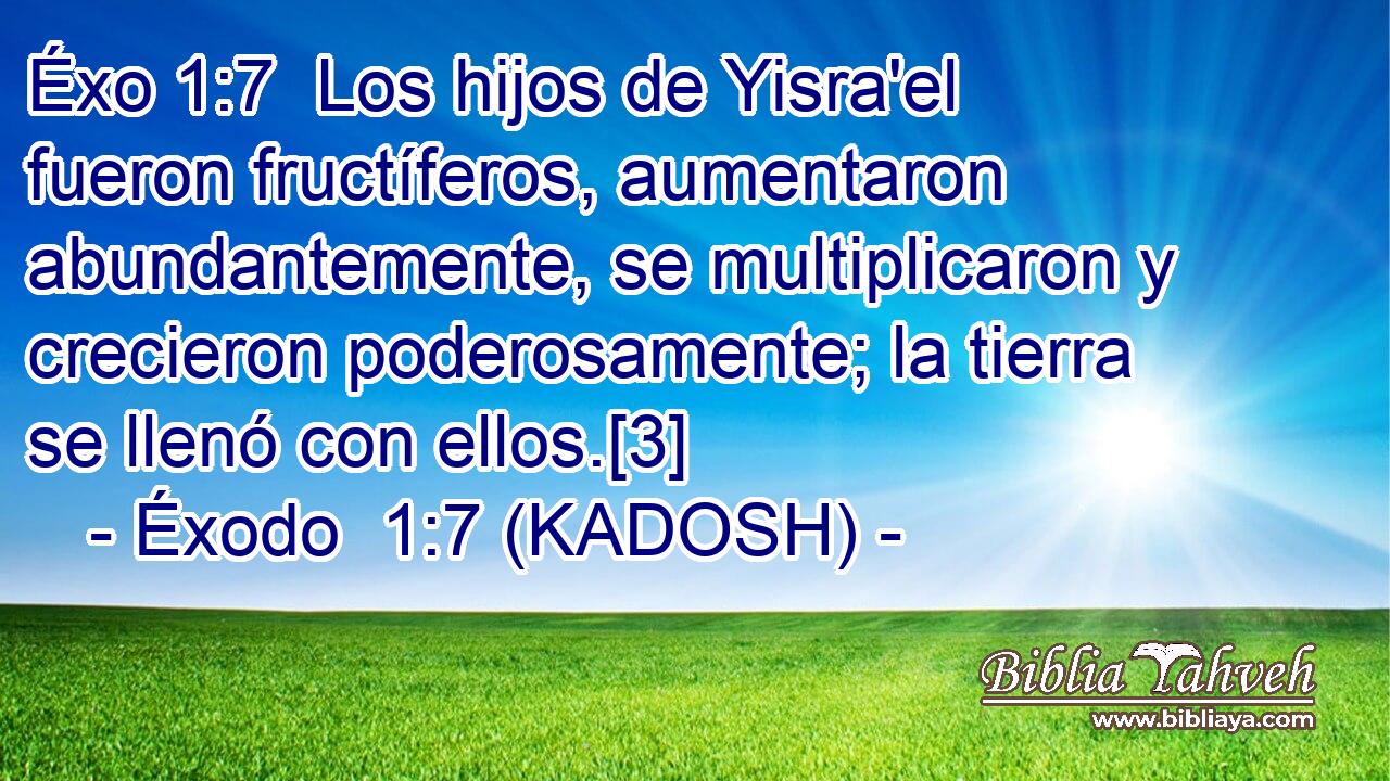  Los hijos de Yisra'el fueron fructíferos, aumentaron abundantemente, se multiplicaron y crecieron poderosamente; la tierra se llenó con ellos.[3] 