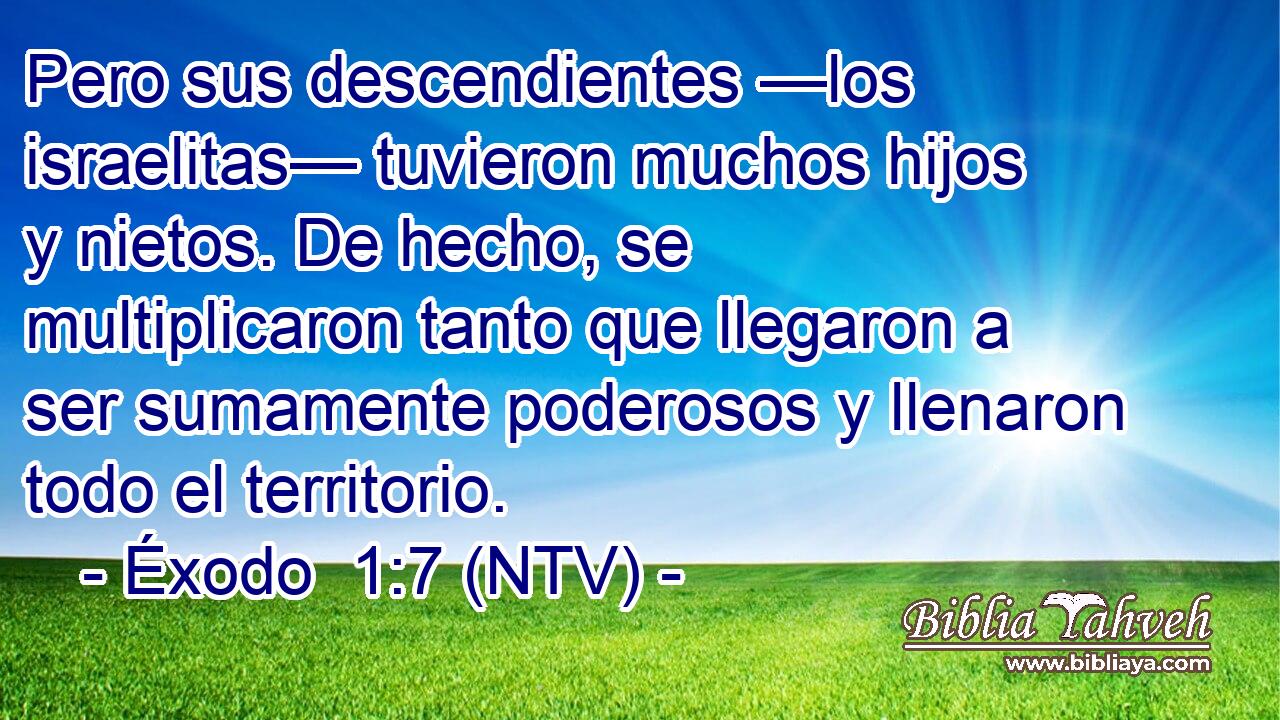 Pero sus descendientes —los israelitas— tuvieron muchos hijos y nietos. De hecho, se multiplicaron tanto que llegaron a ser sumamente poderosos y llenaron todo el territorio.