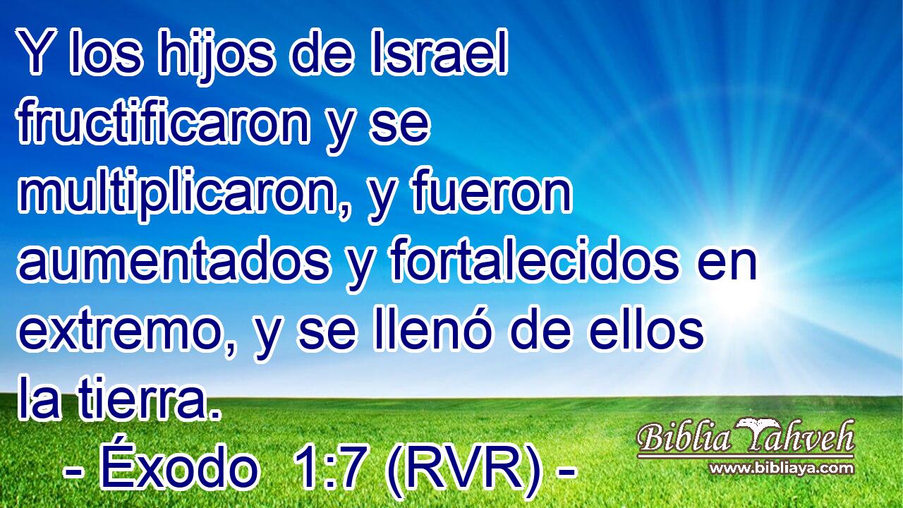 Y los hijos de Israel fructificaron y se multiplicaron, y fueron aumentados y fortalecidos en extremo, y se llenó de ellos la tierra.