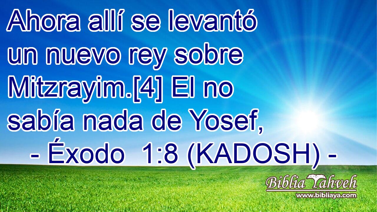  Ahora allí se levantó un nuevo rey sobre Mitzrayim.[4] El no sabía nada de Yosef, 