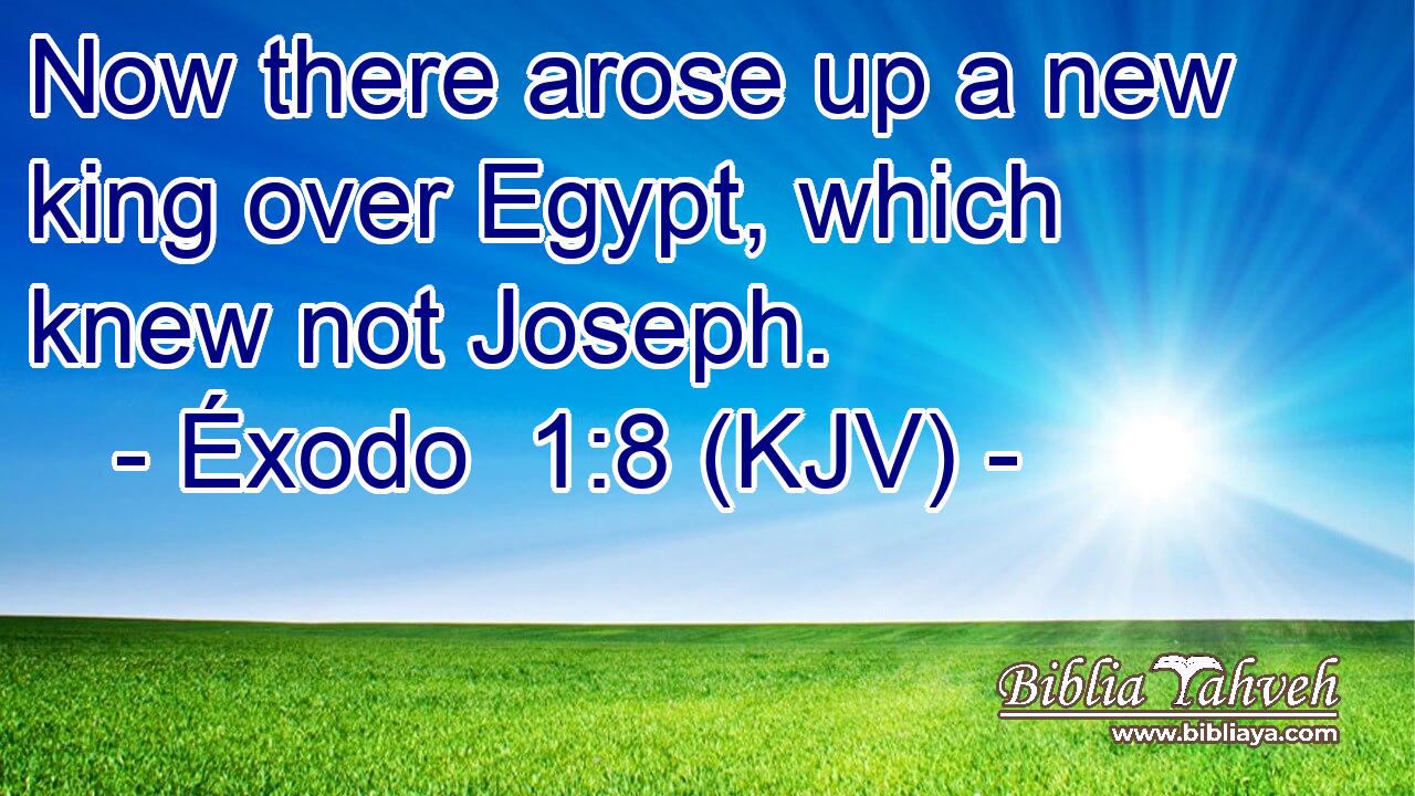 Now there arose up a new king over Egypt, which knew not Joseph.