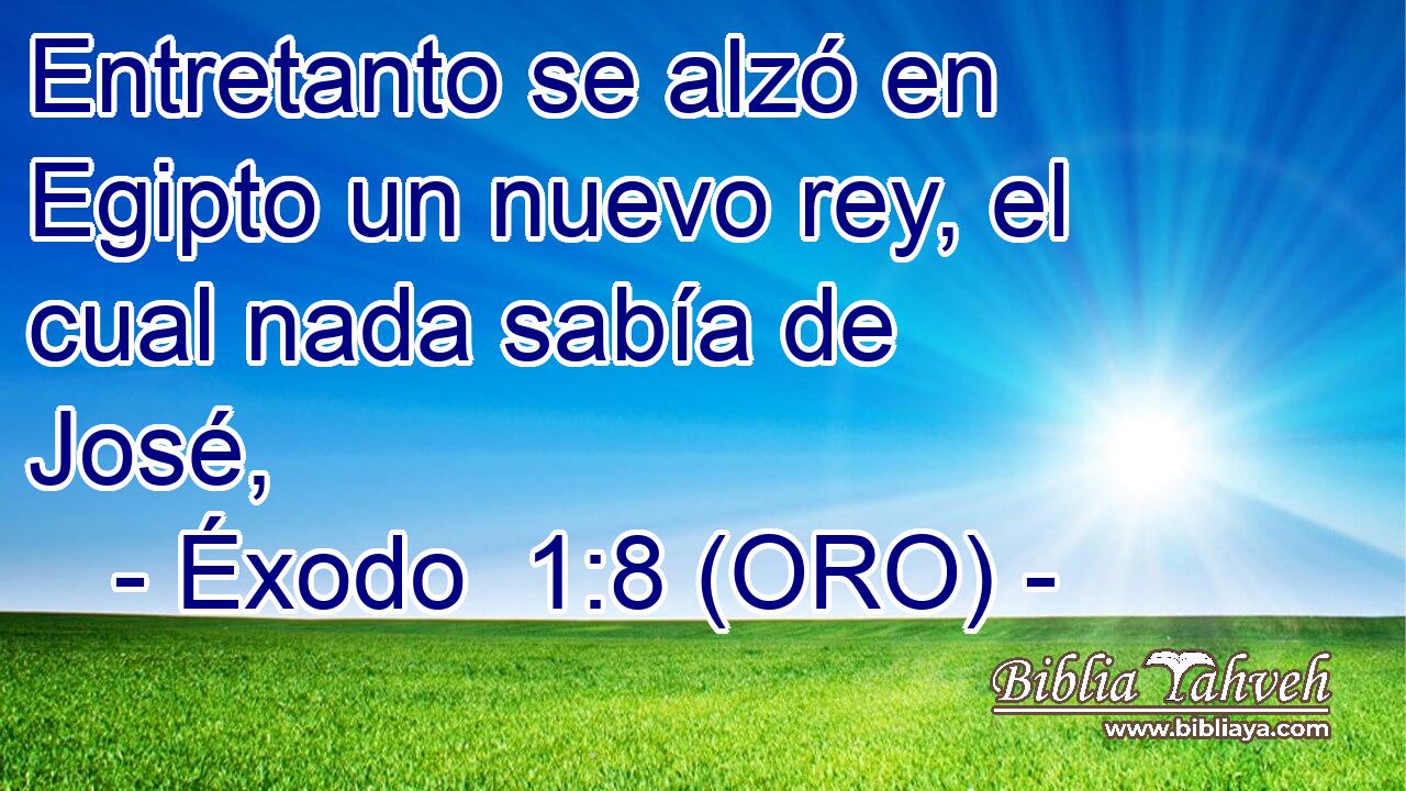  Entretanto se alzó en Egipto un nuevo rey, el cual nada sabía de José, 