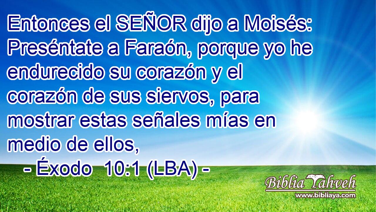 Entonces el SEÑOR dijo a Moisés: Preséntate a Faraón, porque yo he endurecido su corazón y el corazón de sus siervos, para mostrar estas señales mías en medio de ellos,