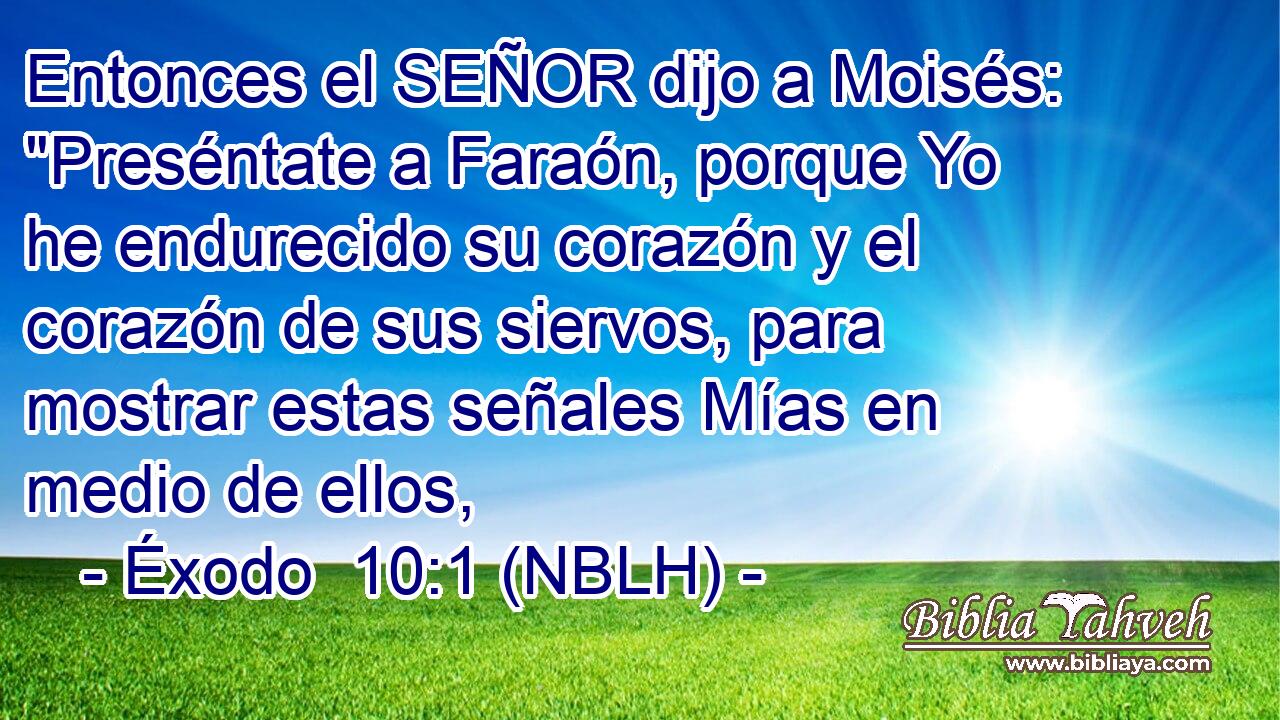  Entonces el SEÑOR dijo a Moisés: 