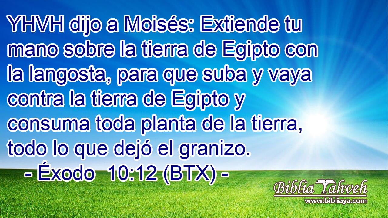 YHVH dijo a Moisés: Extiende tu mano sobre la tierra de Egipto con la langosta, para que suba y vaya contra la tierra de Egipto y consuma toda planta de la tierra, todo lo que dejó el granizo.