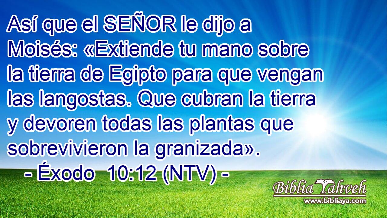Así que el SEÑOR le dijo a Moisés: «Extiende tu mano sobre la tierra de Egipto para que vengan las langostas. Que cubran la tierra y devoren todas las plantas que sobrevivieron la granizada».