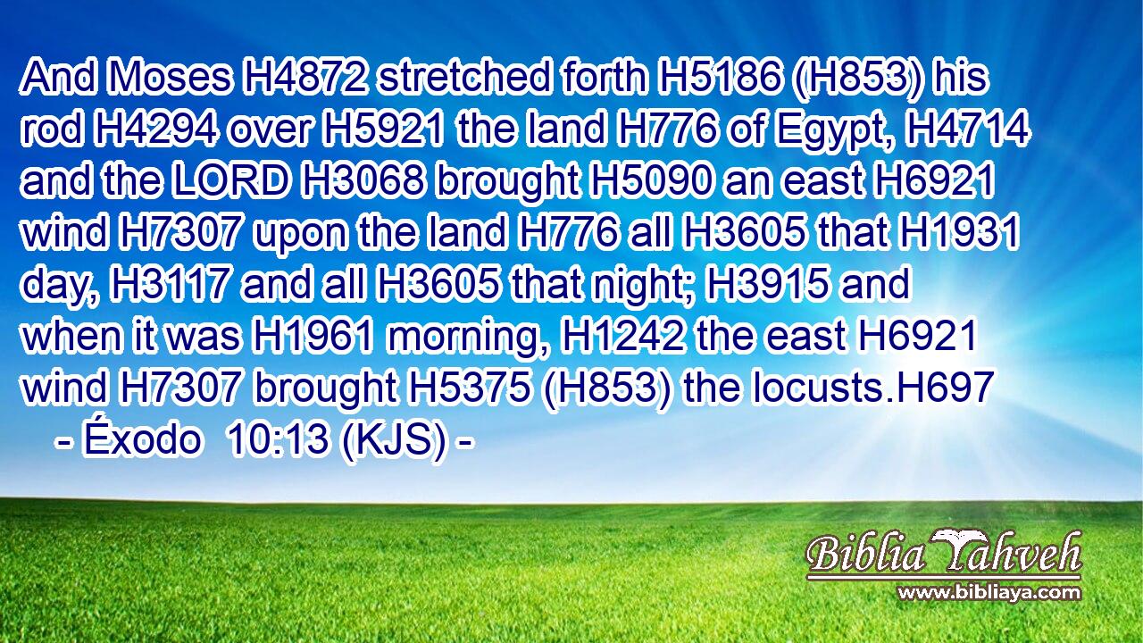 And Moses H4872 stretched forth H5186 (H853) his rod H4294 over H5921 the land H776 of Egypt, H4714 and the LORD H3068 brought H5090 an east H6921 wind H7307 upon the land H776 all H3605 that H1931 day, H3117 and all H3605 that night; H3915 and when it was H1961 morning, H1242 the east H6921 wind H7307 brought H5375 (H853) the locusts.H697
