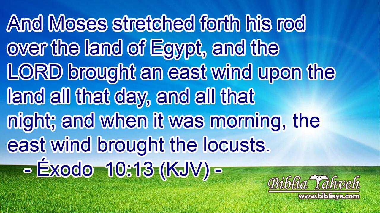 And Moses stretched forth his rod over the land of Egypt, and the LORD brought an east wind upon the land all that day, and all that night; and when it was morning, the east wind brought the locusts.