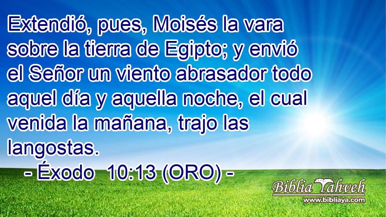  Extendió, pues, Moisés la vara sobre la tierra de Egipto; y envió el Señor un viento abrasador todo aquel día y aquella noche, el cual venida la mañana, trajo las langostas. 