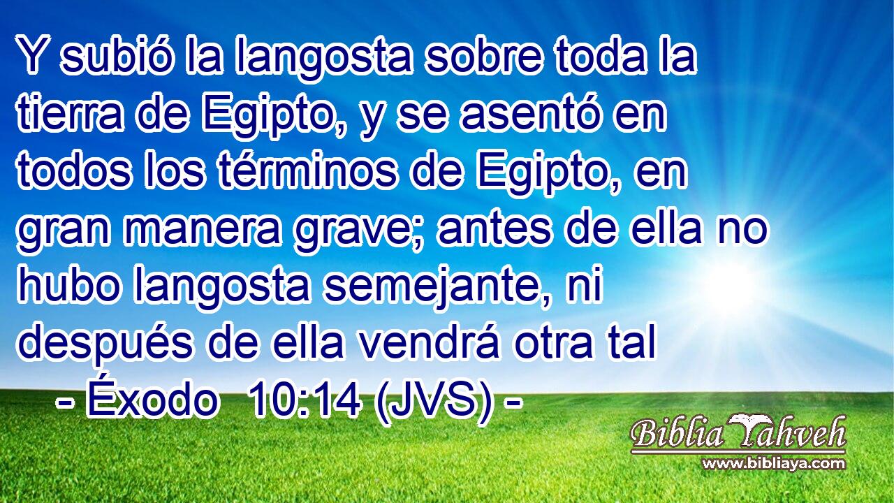 Y subió la langosta sobre toda la tierra de Egipto, y se asentó en todos los términos de Egipto, en gran manera grave; antes de ella no hubo langosta semejante, ni después de ella vendrá otra tal