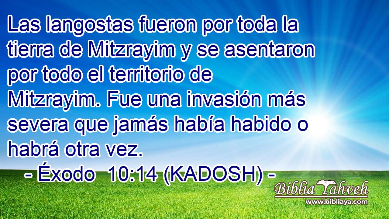  Las langostas fueron por toda la tierra de Mitzrayim y se asentaron por todo el territorio de Mitzrayim. Fue una invasión más severa que jamás había habido o habrá otra vez. 