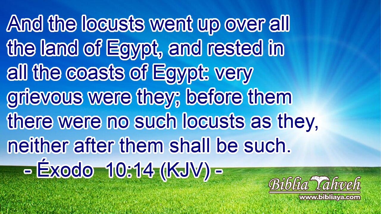 And the locusts went up over all the land of Egypt, and rested in all the coasts of Egypt: very grievous were they; before them there were no such locusts as they, neither after them shall be such.
