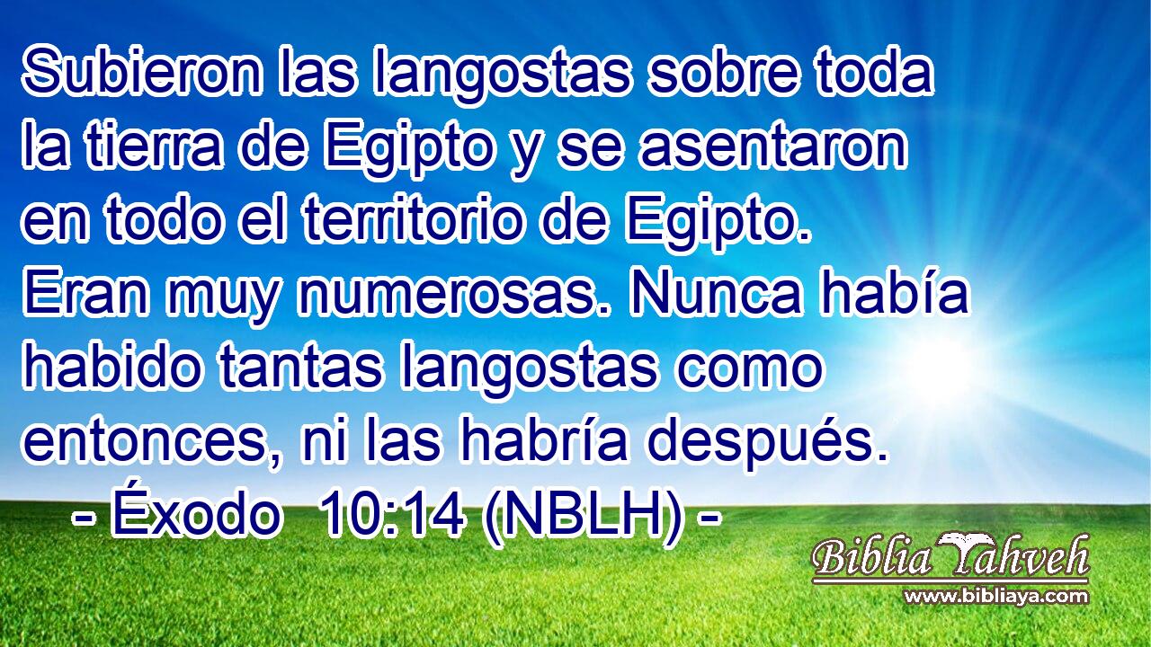  Subieron las langostas sobre toda la tierra de Egipto y se asentaron en todo el territorio de Egipto. Eran muy numerosas. Nunca había habido tantas langostas como entonces, ni las habría después. 