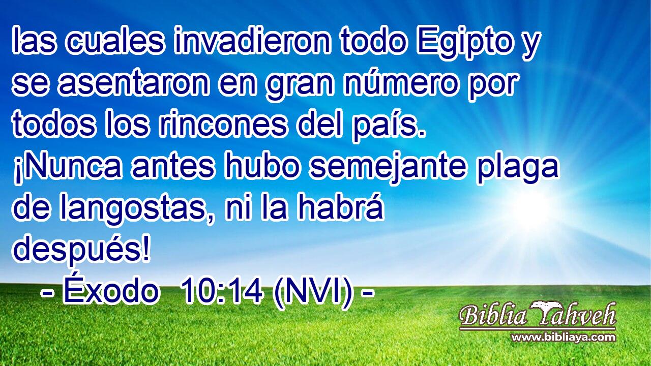  las cuales invadieron todo Egipto y se asentaron en gran número por todos los rincones del país. ¡Nunca antes hubo semejante plaga de langostas, ni la habrá después! 