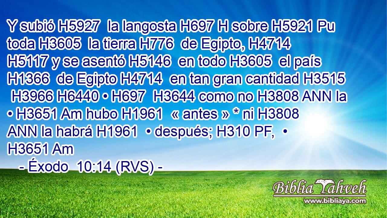 Y subió H5927  la langosta H697 H sobre H5921 Pu toda H3605  la tierra H776  de Egipto, H4714  H5117 y se asentó H5146  en todo H3605  el país H1366  de Egipto H4714  en tan gran cantidad H3515  H3966 H6440 • H697  H3644 como no H3808 ANN la • H3651 Am hubo H1961  « antes » * ni H3808 ANN la habrá H1961  • después; H310 PF,  • H3651 Am 