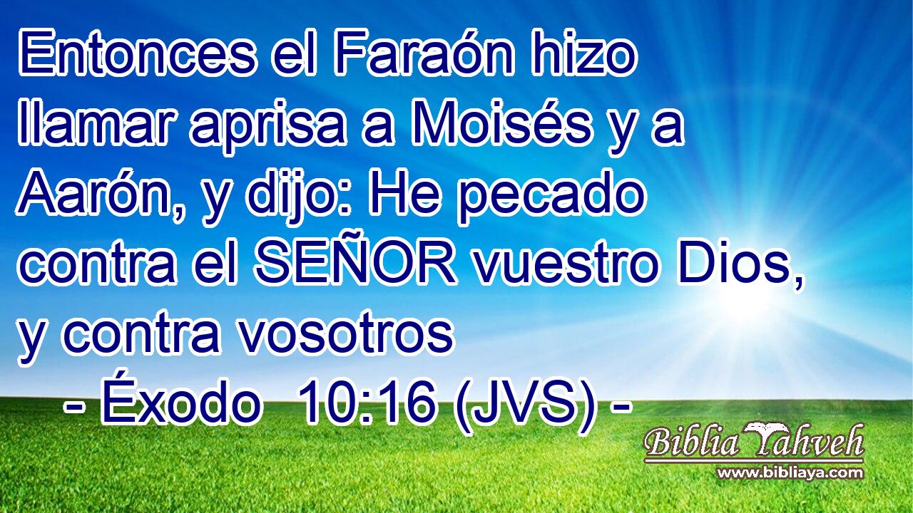 Entonces el Faraón hizo llamar aprisa a Moisés y a Aarón, y dijo: He pecado contra el SEÑOR vuestro Dios, y contra vosotros