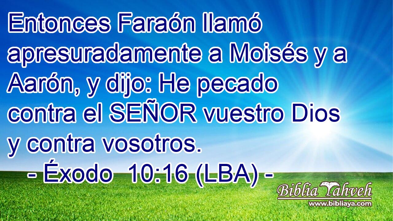 Entonces Faraón llamó apresuradamente a Moisés y a Aarón, y dijo: He pecado contra el SEÑOR vuestro Dios y contra vosotros.