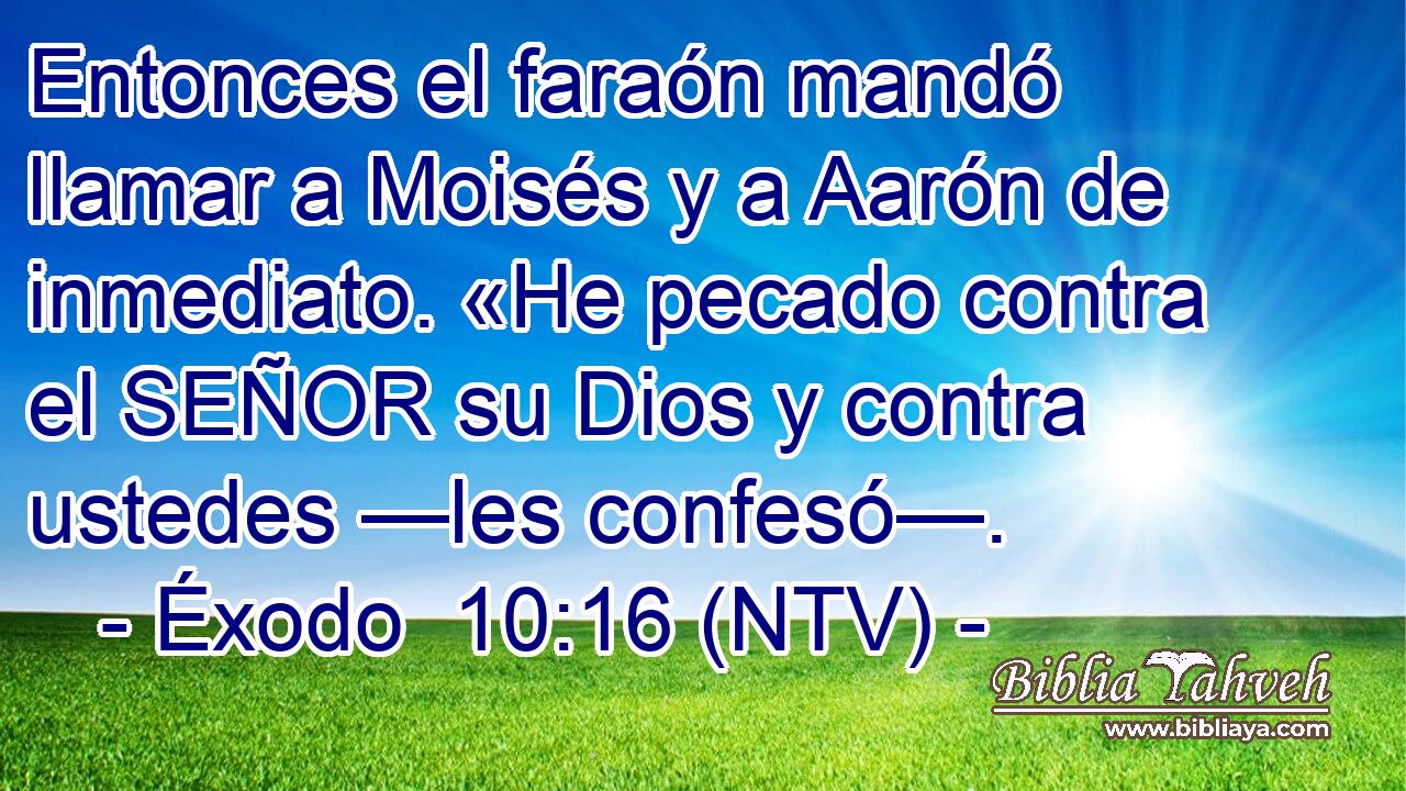 Entonces el faraón mandó llamar a Moisés y a Aarón de inmediato. «He pecado contra el SEÑOR su Dios y contra ustedes —les confesó—.