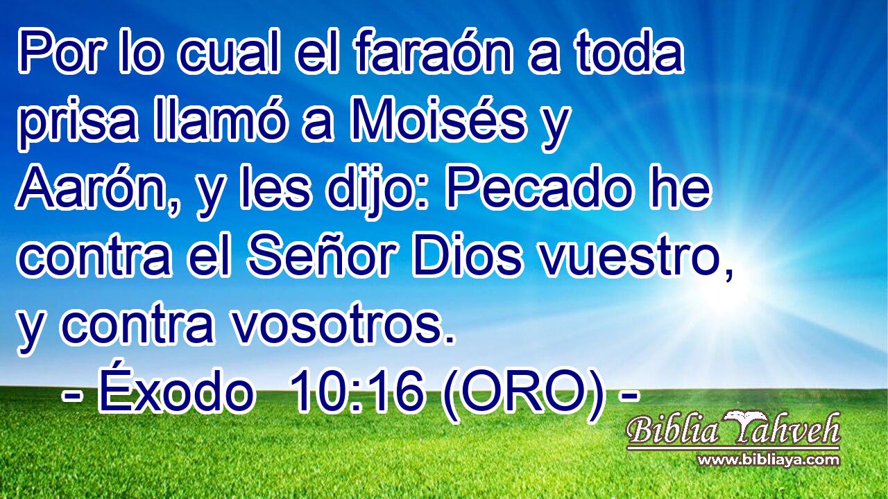  Por lo cual el faraón a toda prisa llamó a Moisés y Aarón, y les dijo: Pecado he contra el Señor Dios vuestro, y contra vosotros. 