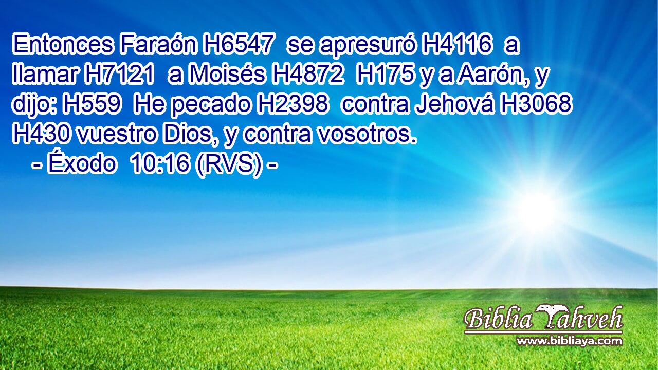 Entonces Faraón H6547  se apresuró H4116  a llamar H7121  a Moisés H4872  H175 y a Aarón, y dijo: H559  He pecado H2398  contra Jehová H3068  H430 vuestro Dios, y contra vosotros. 