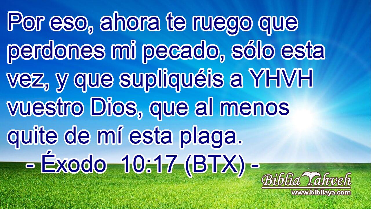 Por eso, ahora te ruego que perdones mi pecado, sólo esta vez, y que supliquéis a YHVH vuestro Dios, que al menos quite de mí esta plaga.