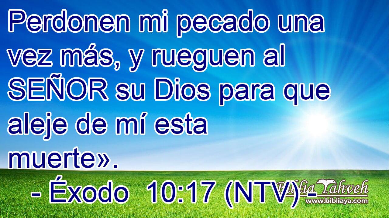 Perdonen mi pecado una vez más, y rueguen al SEÑOR su Dios para que aleje de mí esta muerte».