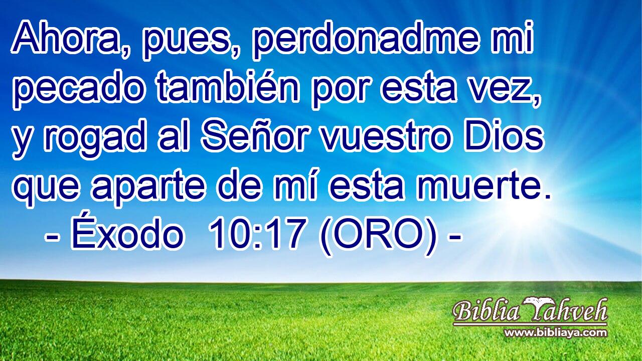 Ahora, pues, perdonadme mi pecado también por esta vez, y rogad al Señor vuestro Dios que aparte de mí esta muerte. 