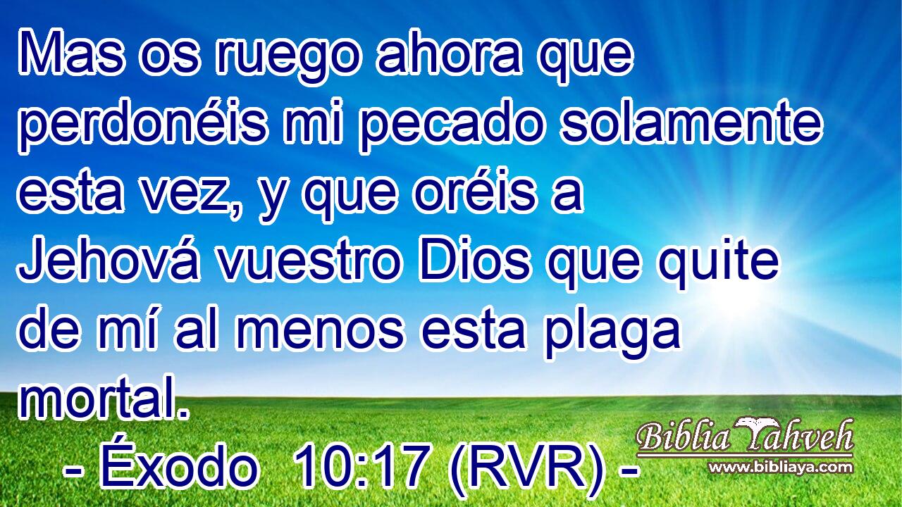 Mas os ruego ahora que perdonéis mi pecado solamente esta vez, y que oréis a Jehová vuestro Dios que quite de mí al menos esta plaga mortal.