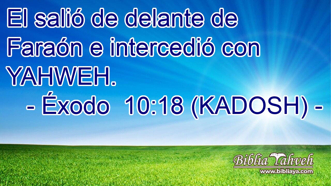  El salió de delante de Faraón e intercedió con YAHWEH. 