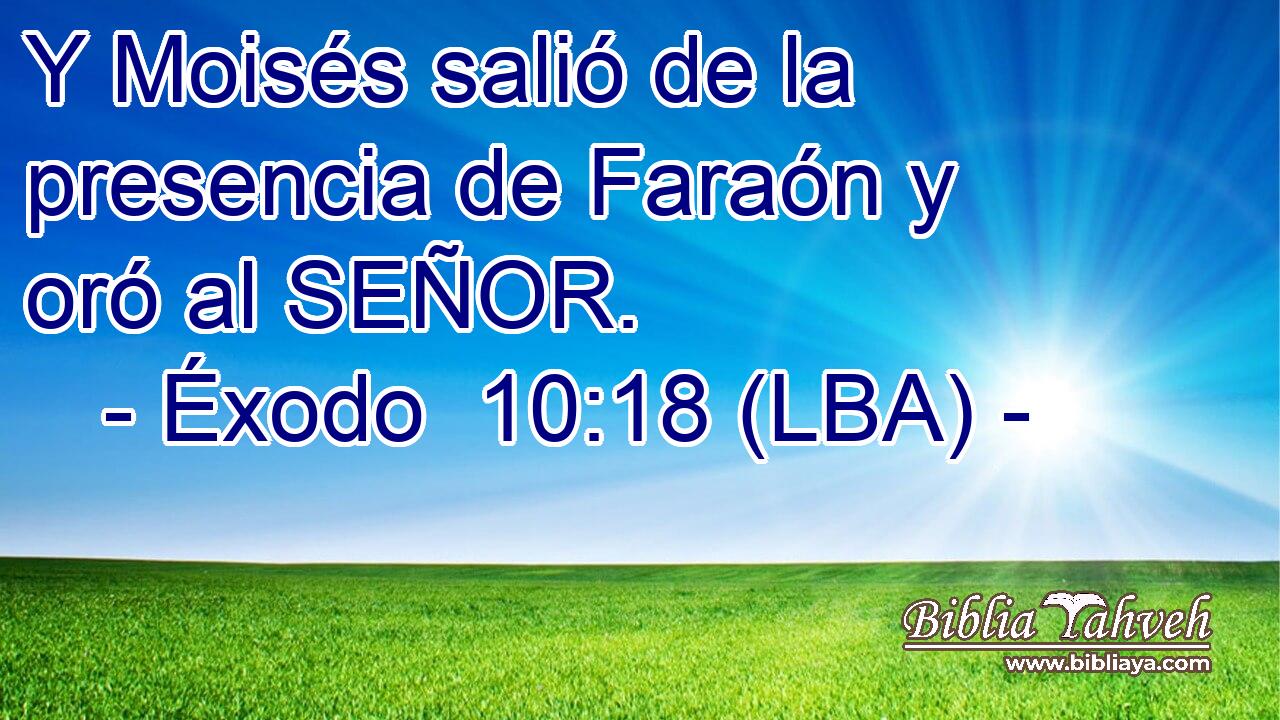 Y Moisés salió de la presencia de Faraón y oró al SEÑOR.