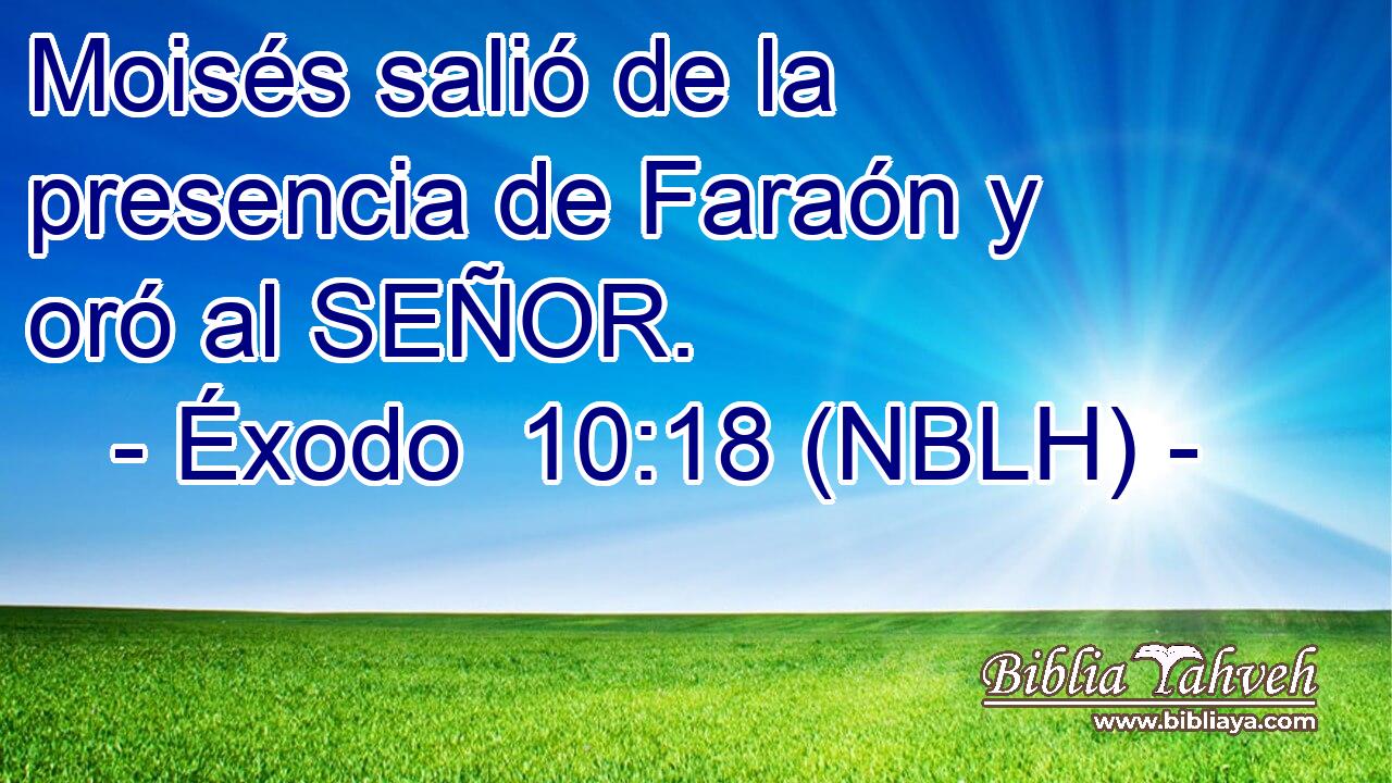  Moisés salió de la presencia de Faraón y oró al SEÑOR. 