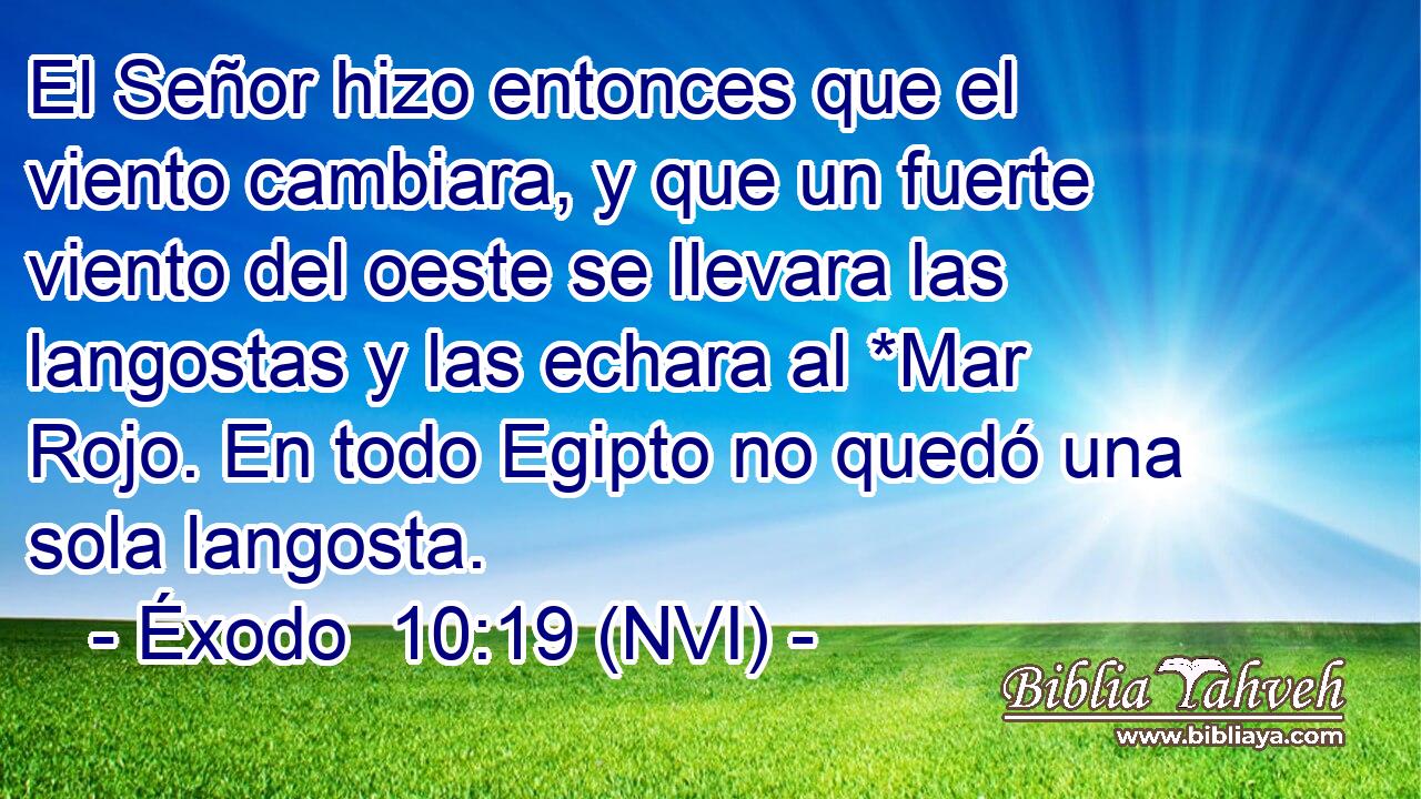  El Señor hizo entonces que el viento cambiara, y que un fuerte viento del oeste se llevara las langostas y las echara al *Mar Rojo. En todo Egipto no quedó una sola langosta. 