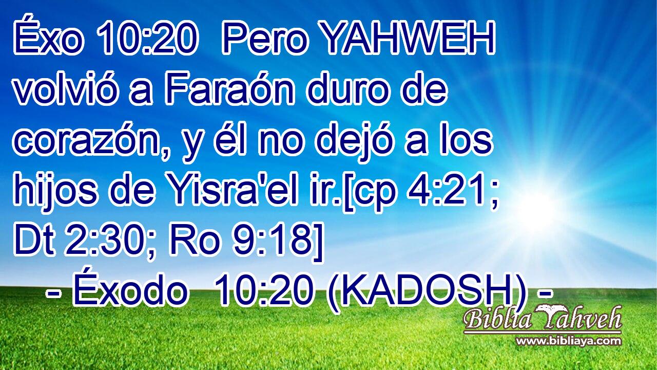  Pero YAHWEH volvió a Faraón duro de corazón, y él no dejó a los hijos de Yisra'el ir.[cp 4:21; Dt 2:30; Ro 9:18] 