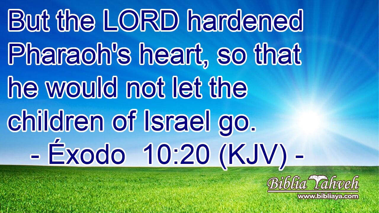 But the LORD hardened Pharaoh's heart, so that he would not let the children of Israel go.