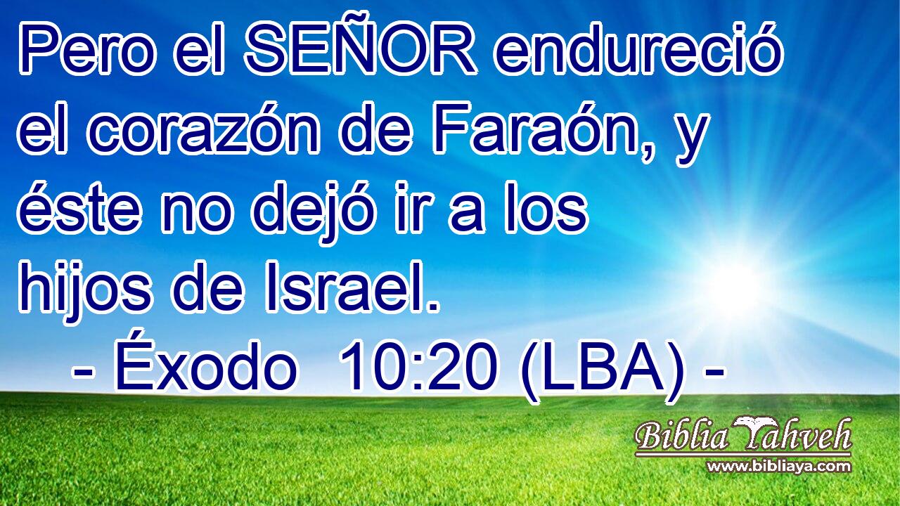 Pero el SEÑOR endureció el corazón de Faraón, y éste no dejó ir a los hijos de Israel.